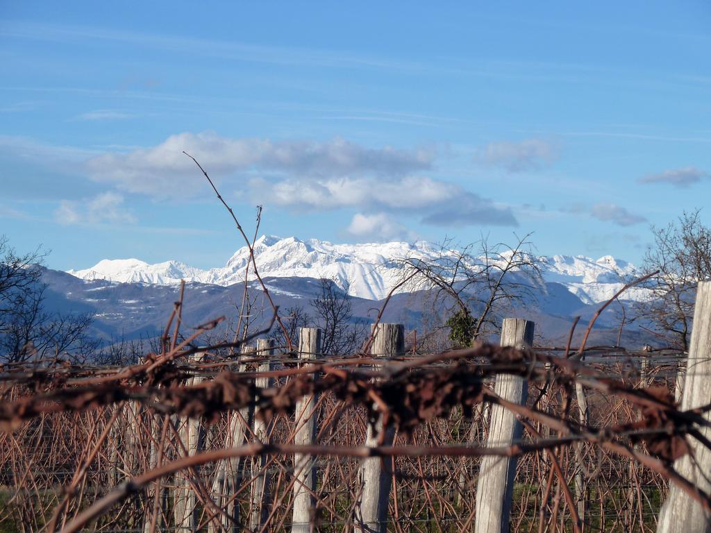 Tenuta Perusini Corno di Rosazzo Exterior foto